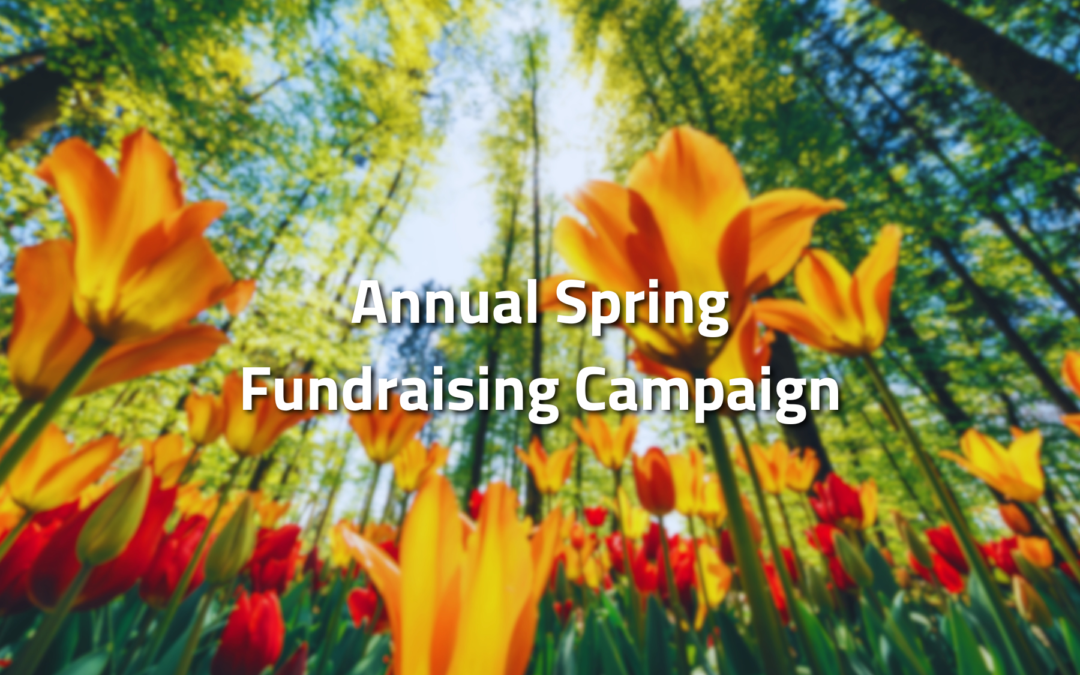 LIVE: Annual Spring Fundraising Campaign!